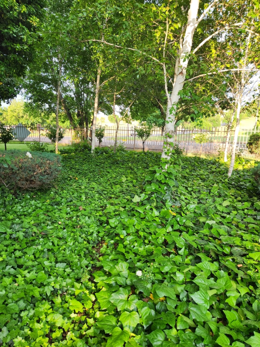 5 Bedroom Property for Sale in Frankfort Free State